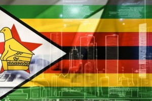 Zim Devs: Lets Talk About AI and Your Future in Code