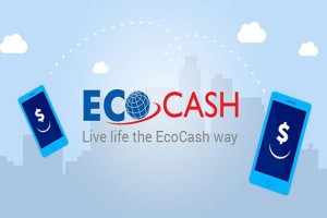EcoCash Faces Hours-Long Outage